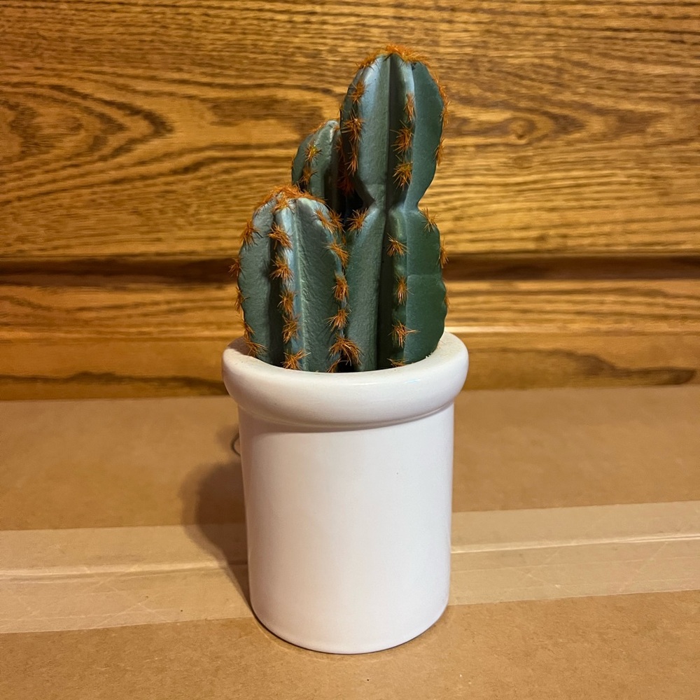 Fake cactus